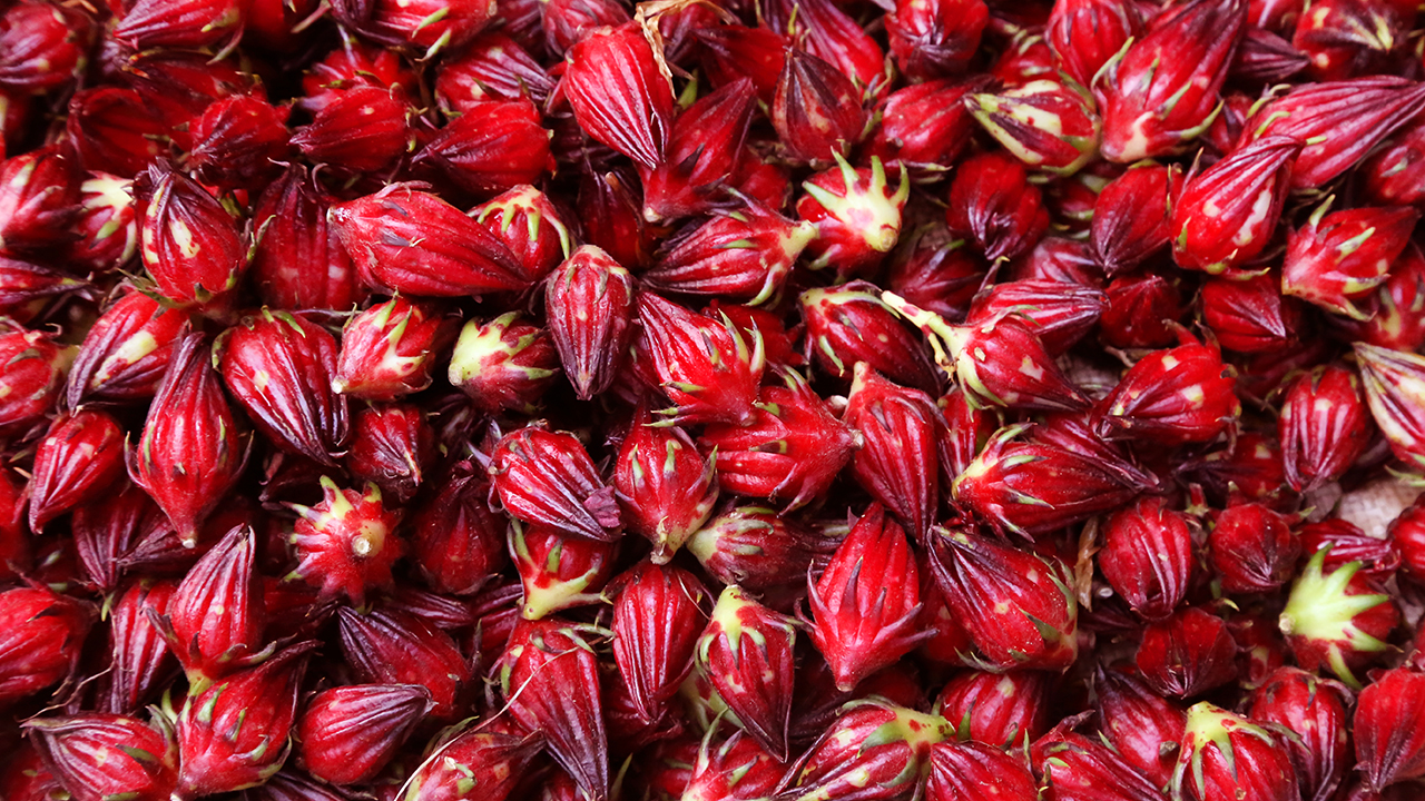 喝玫瑰花茶可以治口臭? 喝玫瑰花茶有什么好處