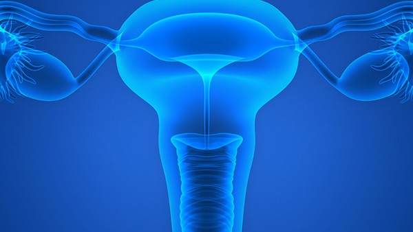 做宮頸息肉手術(shù)多少錢