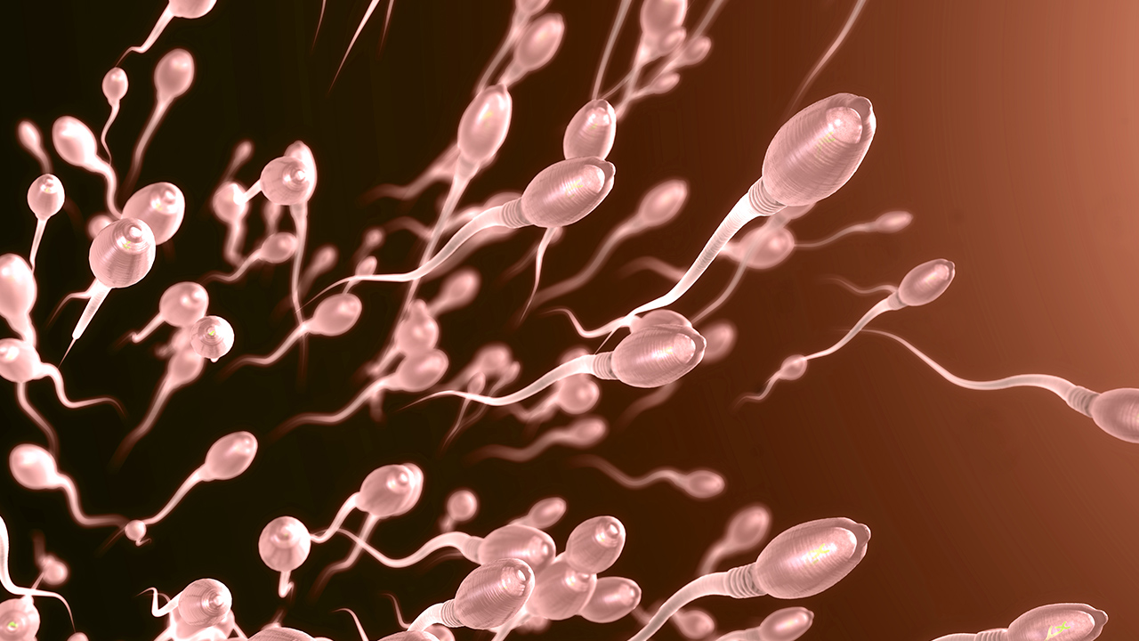 包皮過長與男性不育有什么關(guān)系？預(yù)防男性不育應(yīng)注意什么