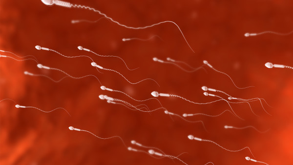 揭露秘密！最常見的男性不育欺詐