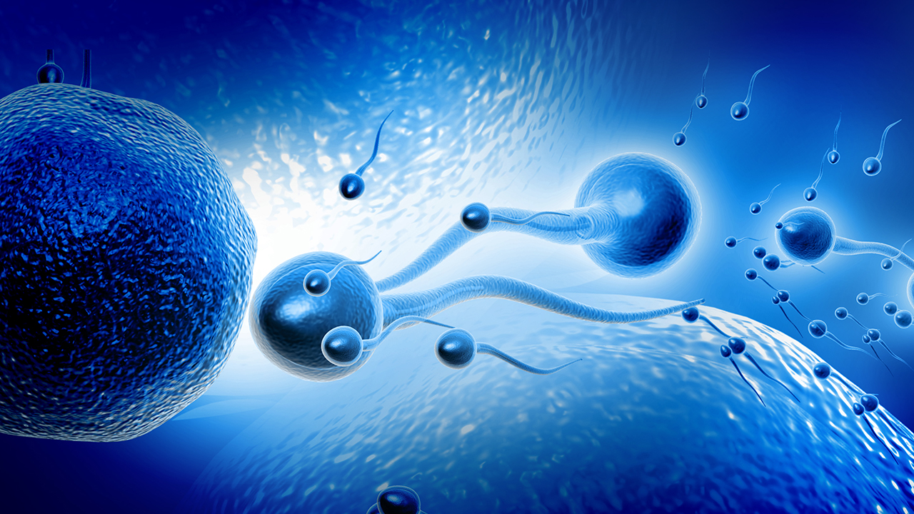 WiFi無線網(wǎng)絡(luò)會損害精子