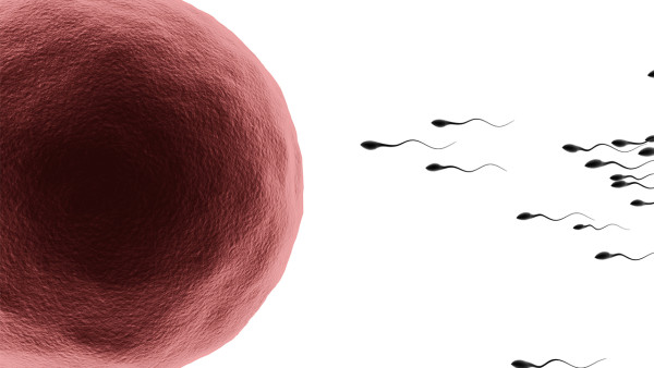 男性不育最常見的原因是什么？