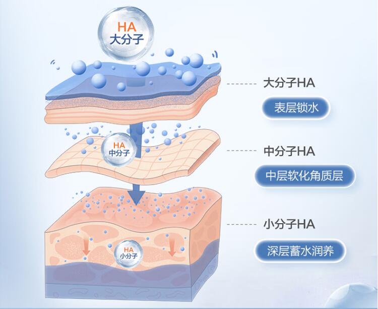 如何在創(chuàng)可貼和醫(yī)用透明質酸鈉皮膚修護貼之間進行選擇？
