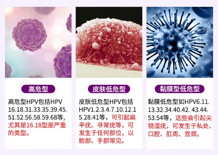 性私密處提供全方位呵護(hù)